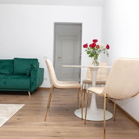 Enescu 3 City Center Flat Тимишоара Екстериор снимка